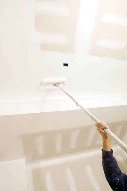 Best Mold Prevention Services  in Lake View, AL