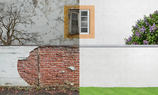 Best Basement Mold Removal  in Lake View, AL