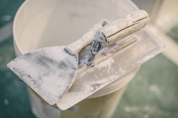 Professional Mold Removal in Lake View, AL